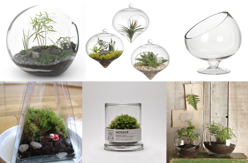 Inspiration déco : terrarium