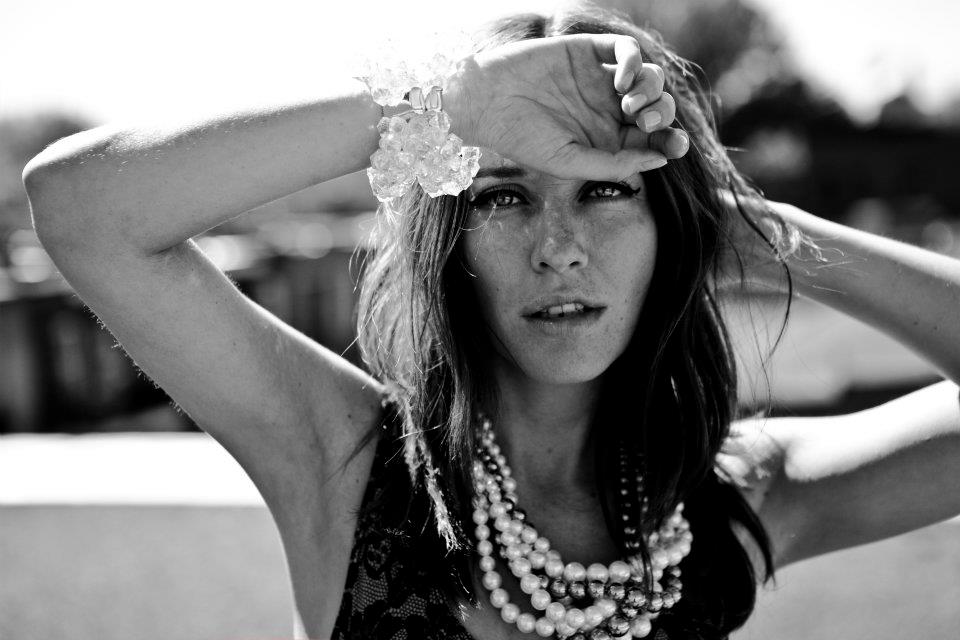 Une belle Abeille sur un toit…