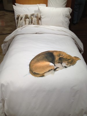 Dans de beaux draps avec Snurk.