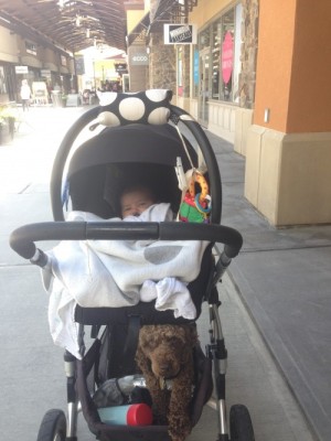 2 adultes, un bébé et un chien chez Old Navy.